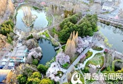 中山公园最新爆料信息网,揭秘公园焕新背后的故事